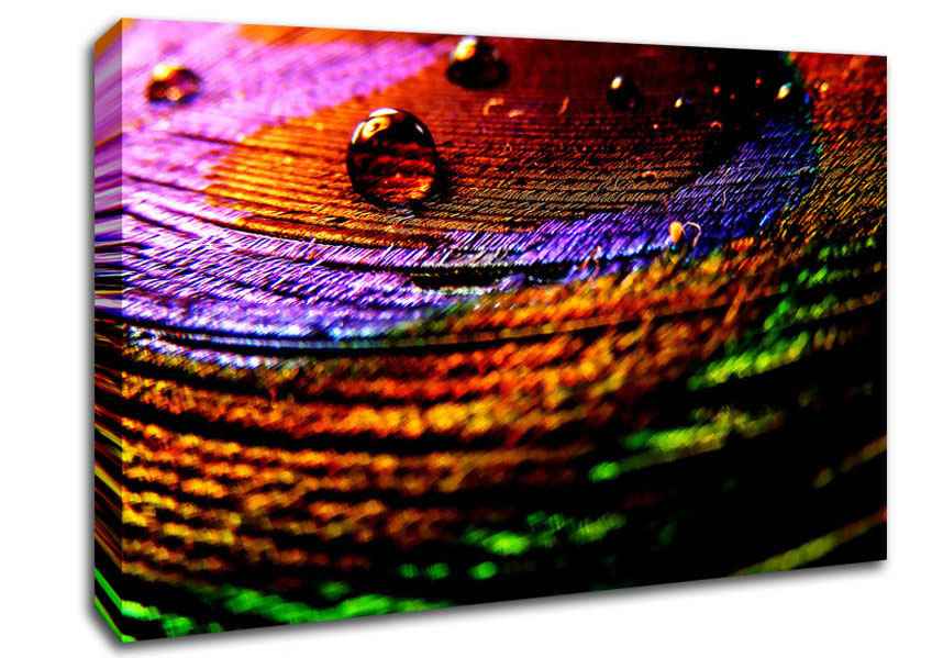 Colourful Bubble Ripples