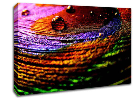 Colourful Bubble Ripples