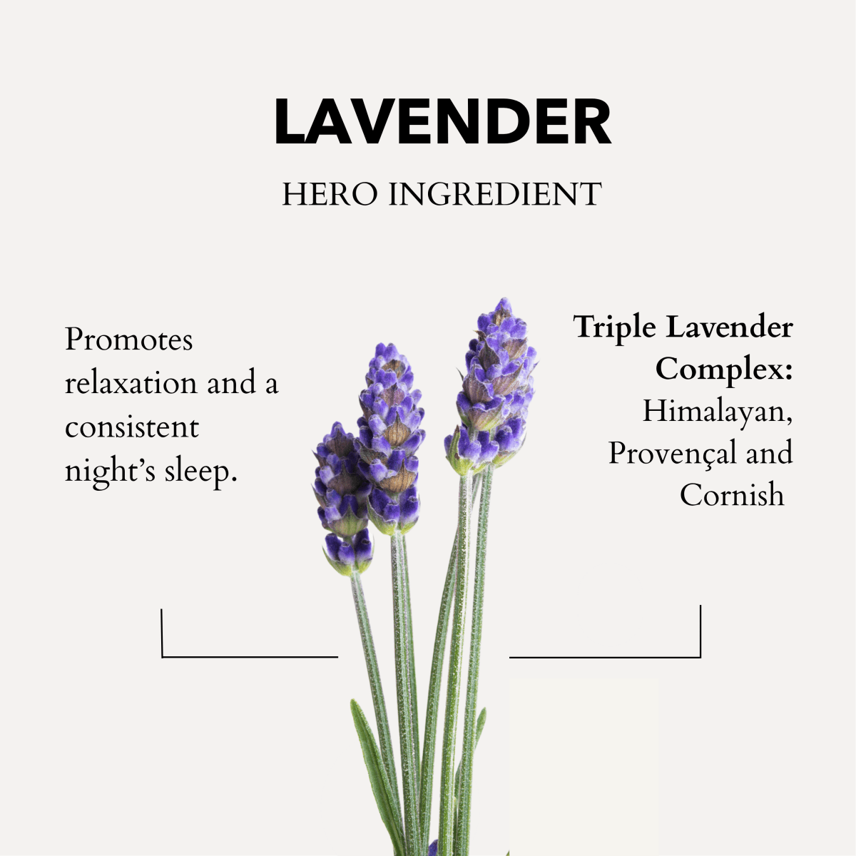 Lavender Sleep Aid- Travel Gift Set