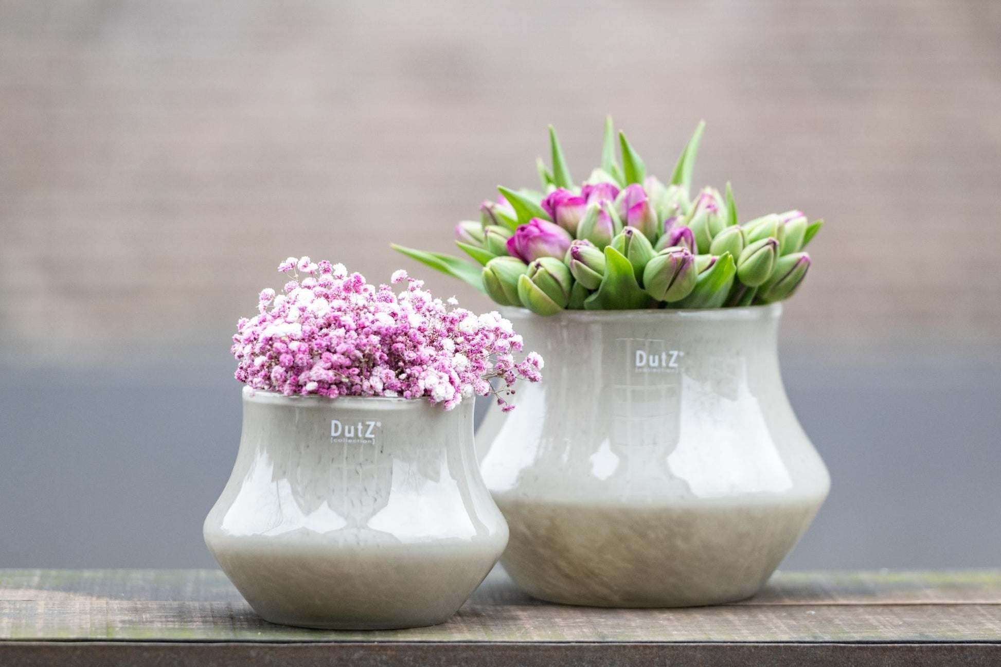 Orchid POT MARCO - TAUPE BROWN  