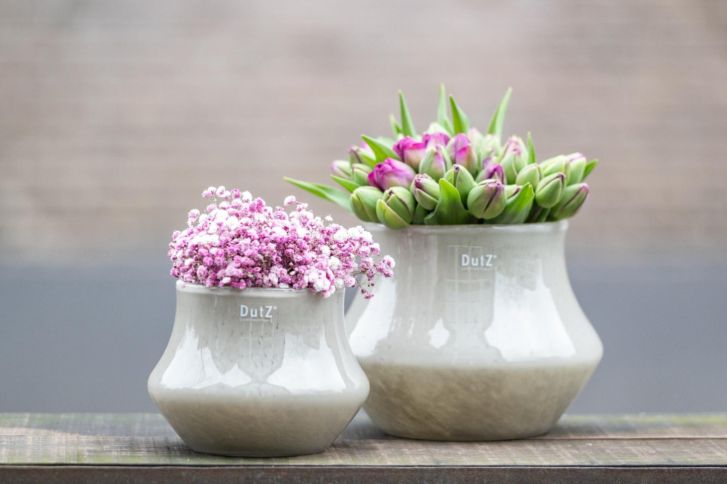 Orchid Pot MARCO Taupe Brown